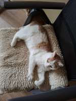 /album/113/whatsapp-image-2026-02-23-at-21-20-15-3-jpeg/